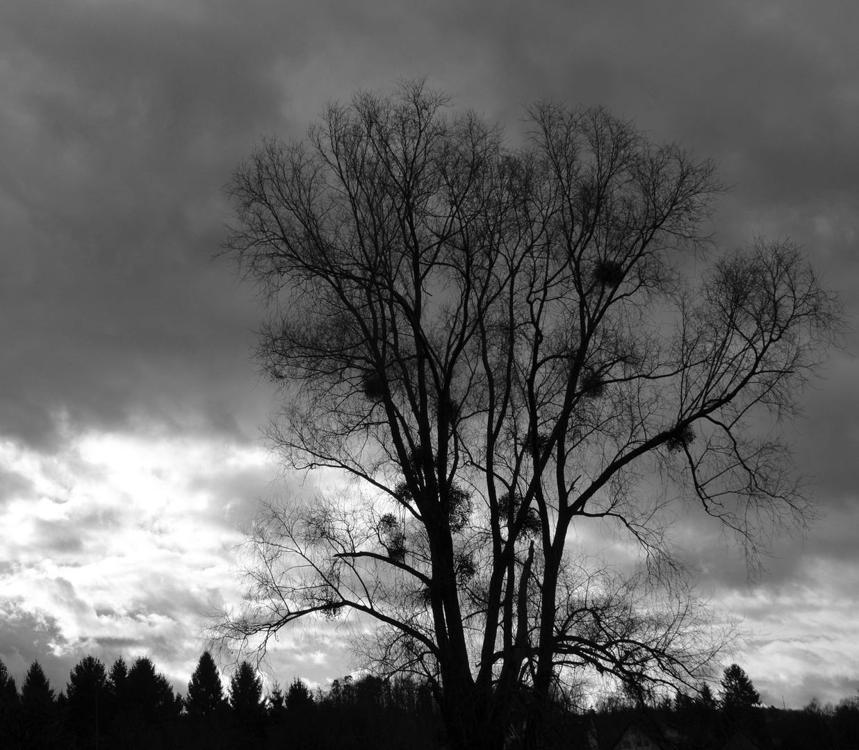 Dunkle Wolken ziehen auf