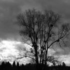 Dunkle Wolken ziehen auf