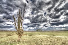 dunkle Wolken ziehen auf