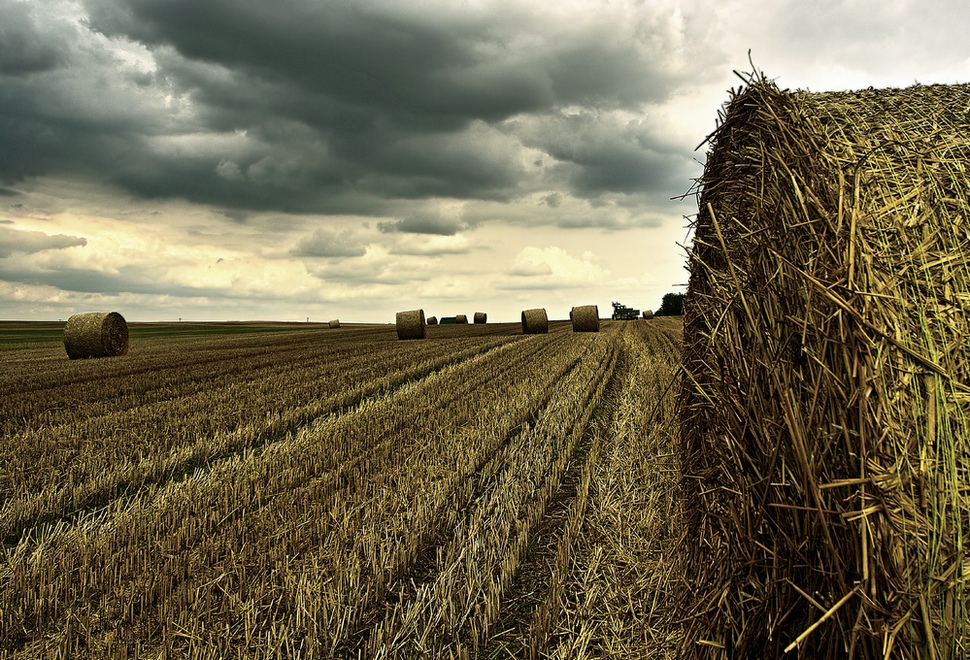 Dunkle Wolken ziehen auf über der Heuballen Kolonie