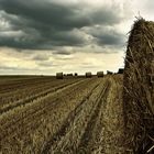 Dunkle Wolken ziehen auf über der Heuballen Kolonie