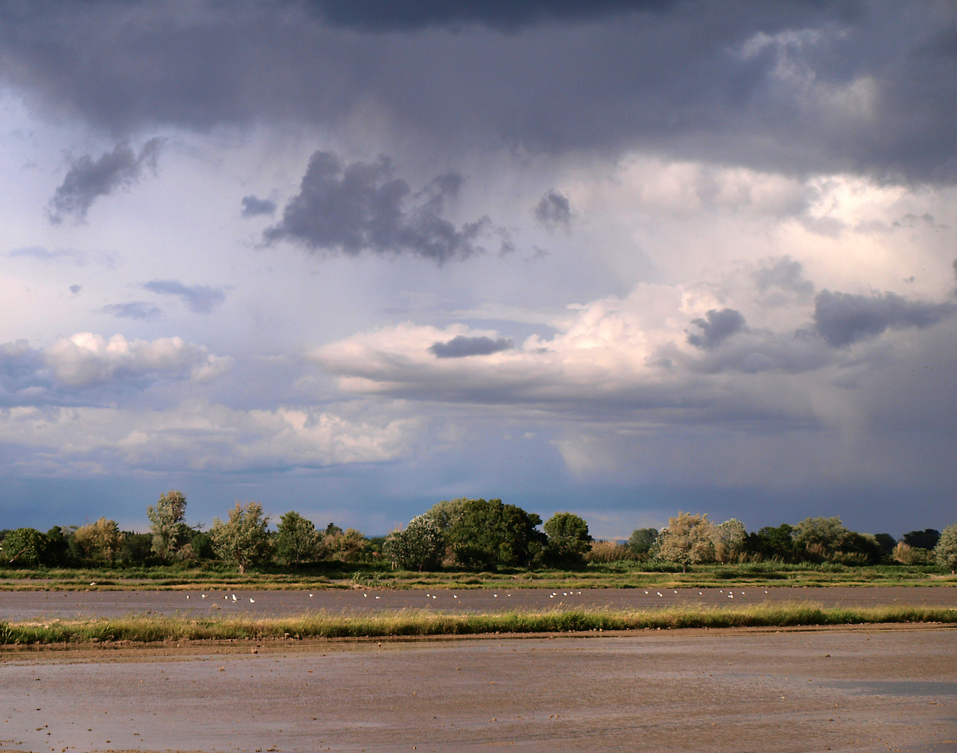 Dunkler Himmel über der Camargue