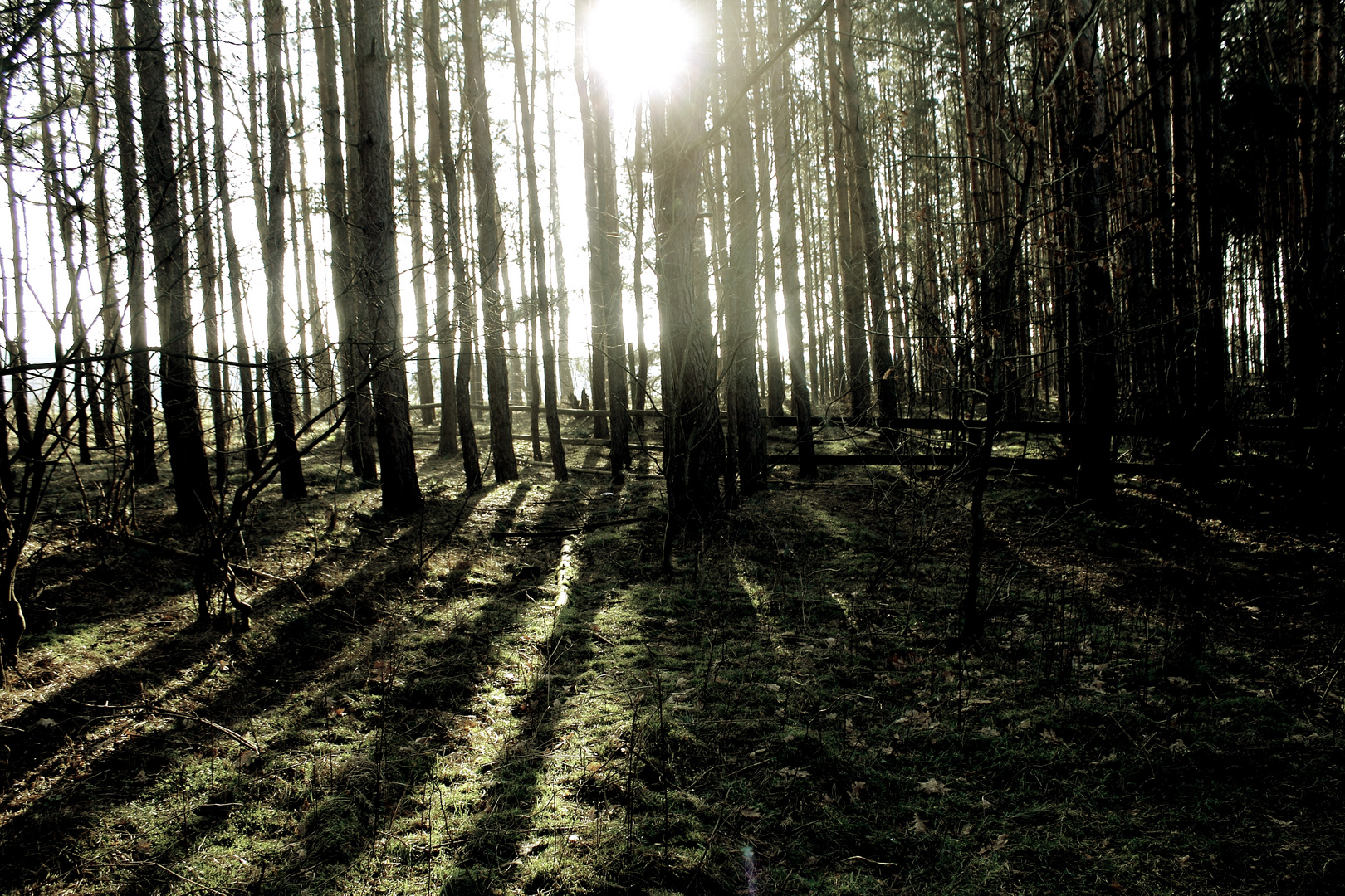 dunkler lichtblick