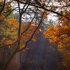 Dunkler Wald und Ruine