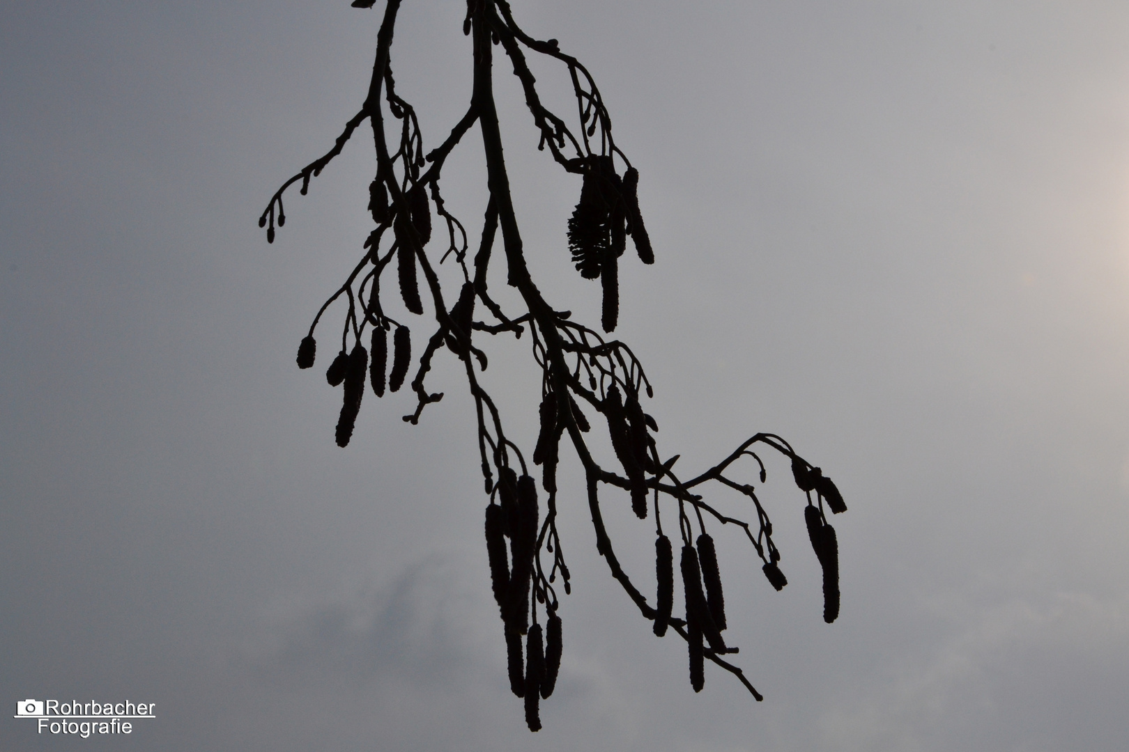 Dunkles am Winterhimmel