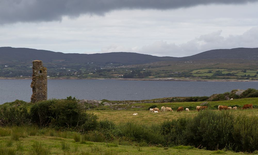 Dunmanus Bay