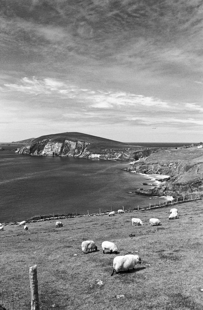 Dunmore Head in Irland (Dingle Halbinsel)
