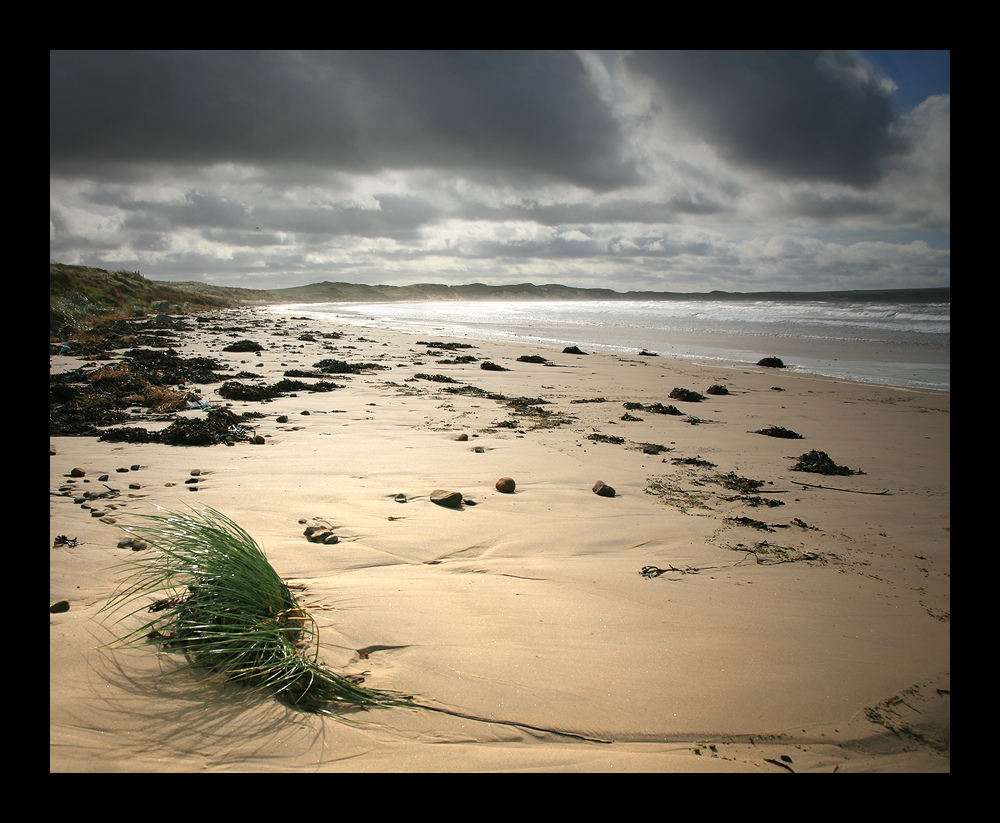 Dunnet Beach