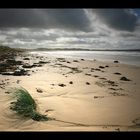 Dunnet Beach