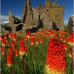 Dunnotar Castle