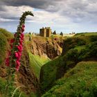 Dunnottar castle