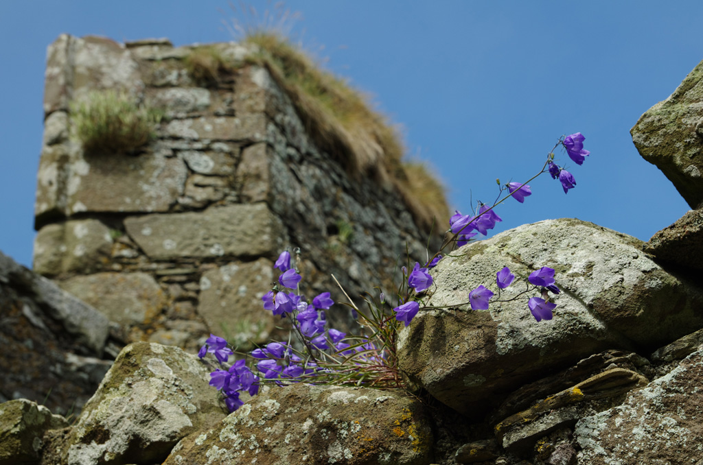 Dunnottar castle