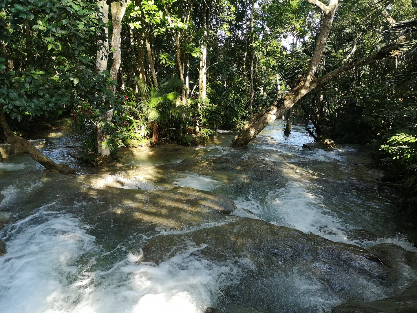 Dunn´s River