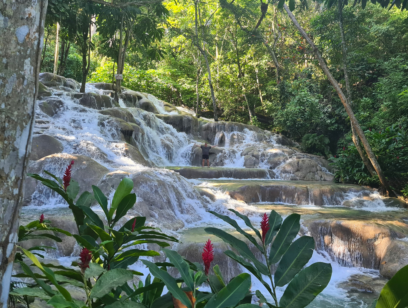 Dunn´s River Falls