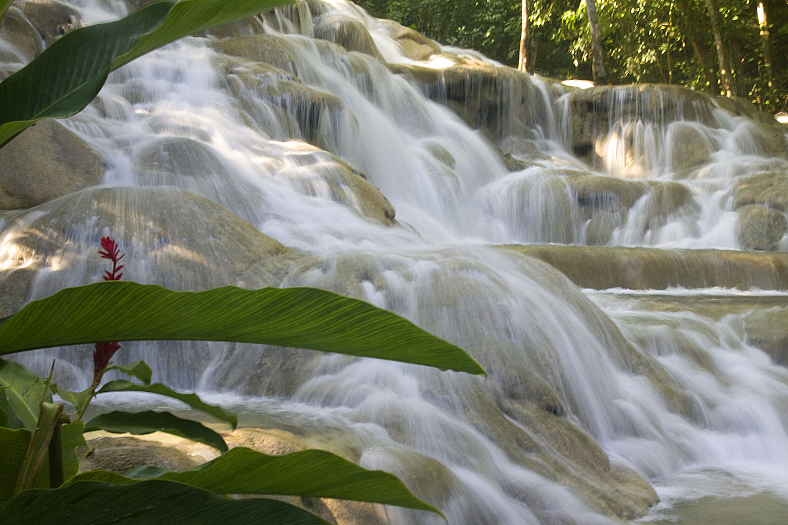 Dunns River Falls