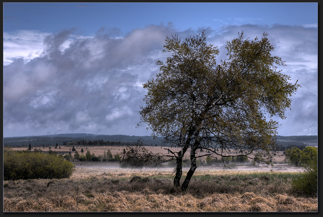 Dunst... Foto & Bild | landschaft, lebensräume, reisen Bilder auf ...