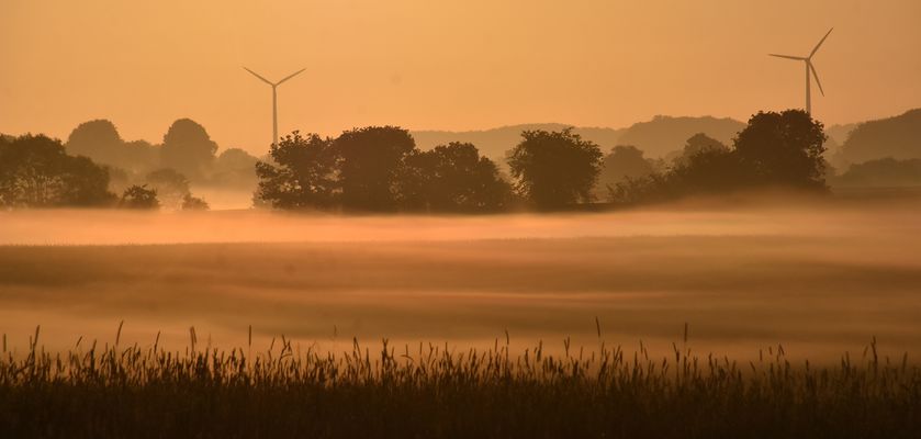 Dunst am frühen Morgen in den Feldern....