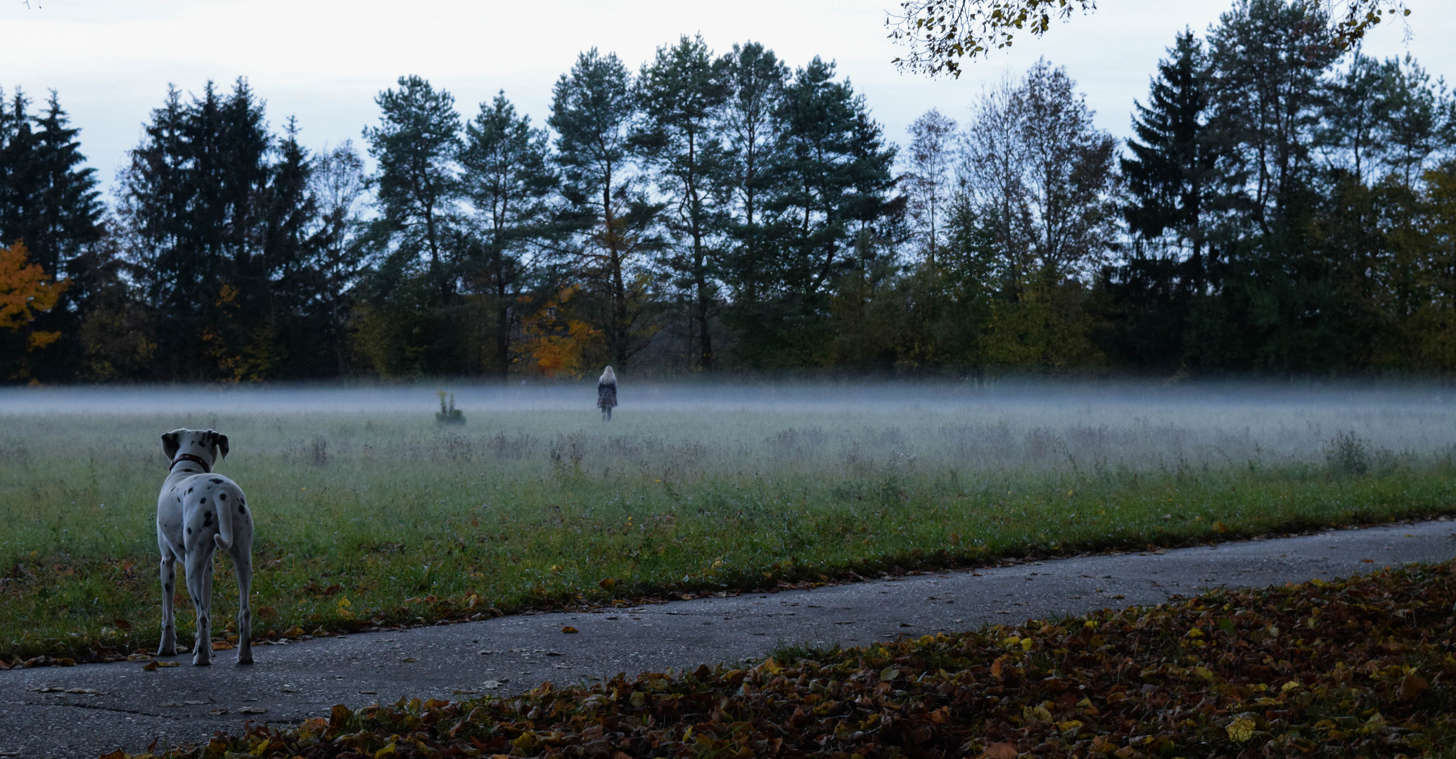 Dunst der Dämmerung