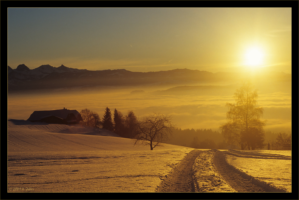 Dunst oder Nebel?