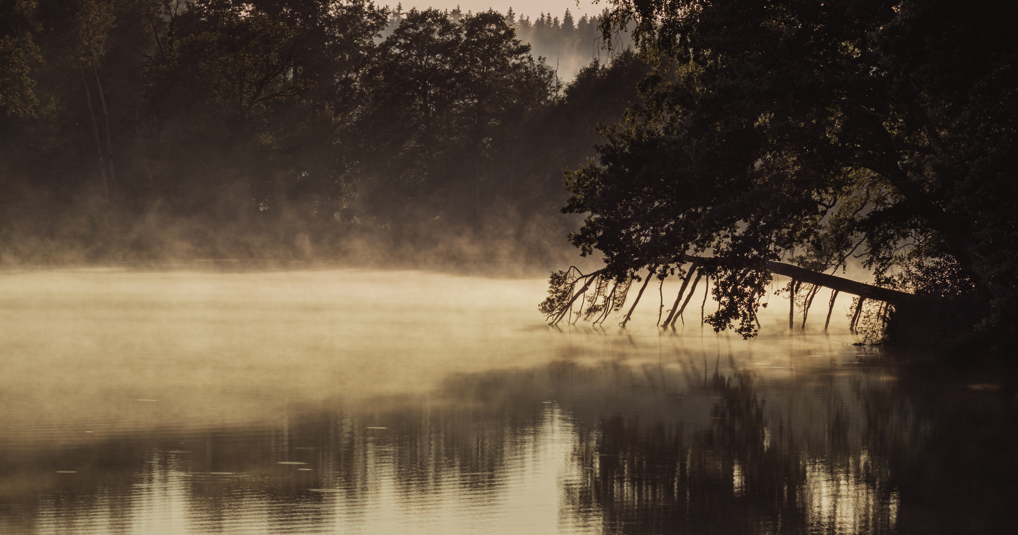 Dunst über dem Espachweiher