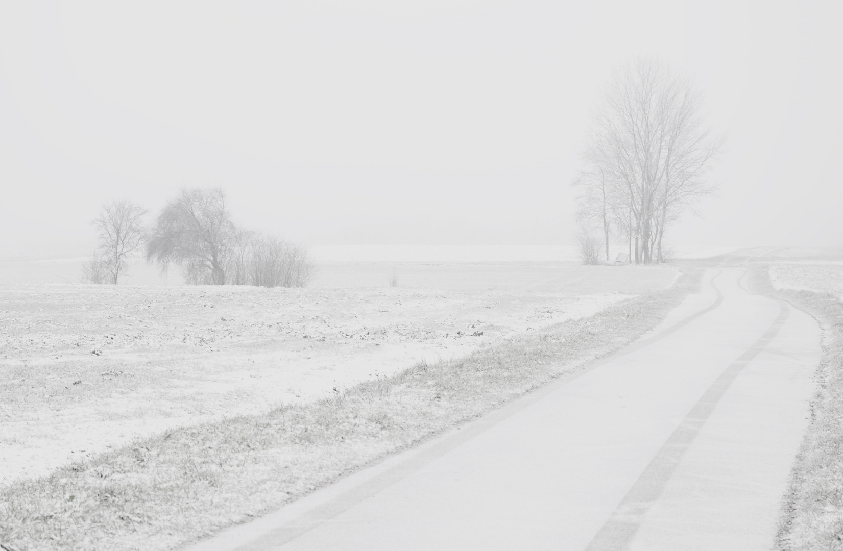 Dunst über dem Feld 