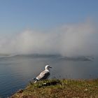 Dunst über der Nordsee