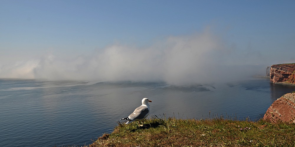 Dunst über der Nordsee