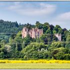 Dunster Castle