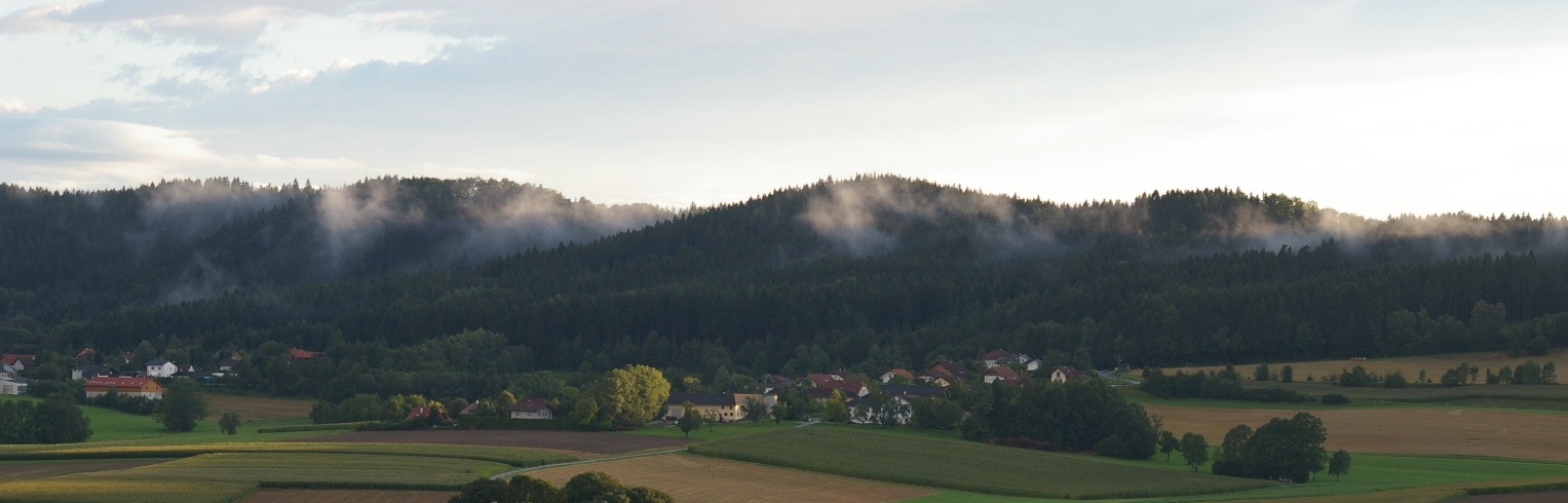 Dunstfelder nach Regen