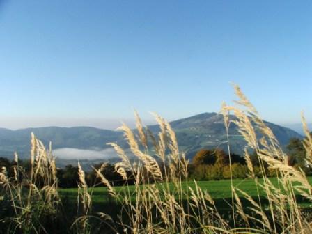 Dunstglocke überm See