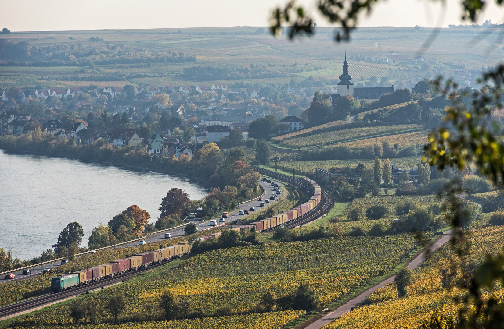 Dunstiger Herbst am Rhein