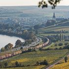 Dunstiger Herbst am Rhein