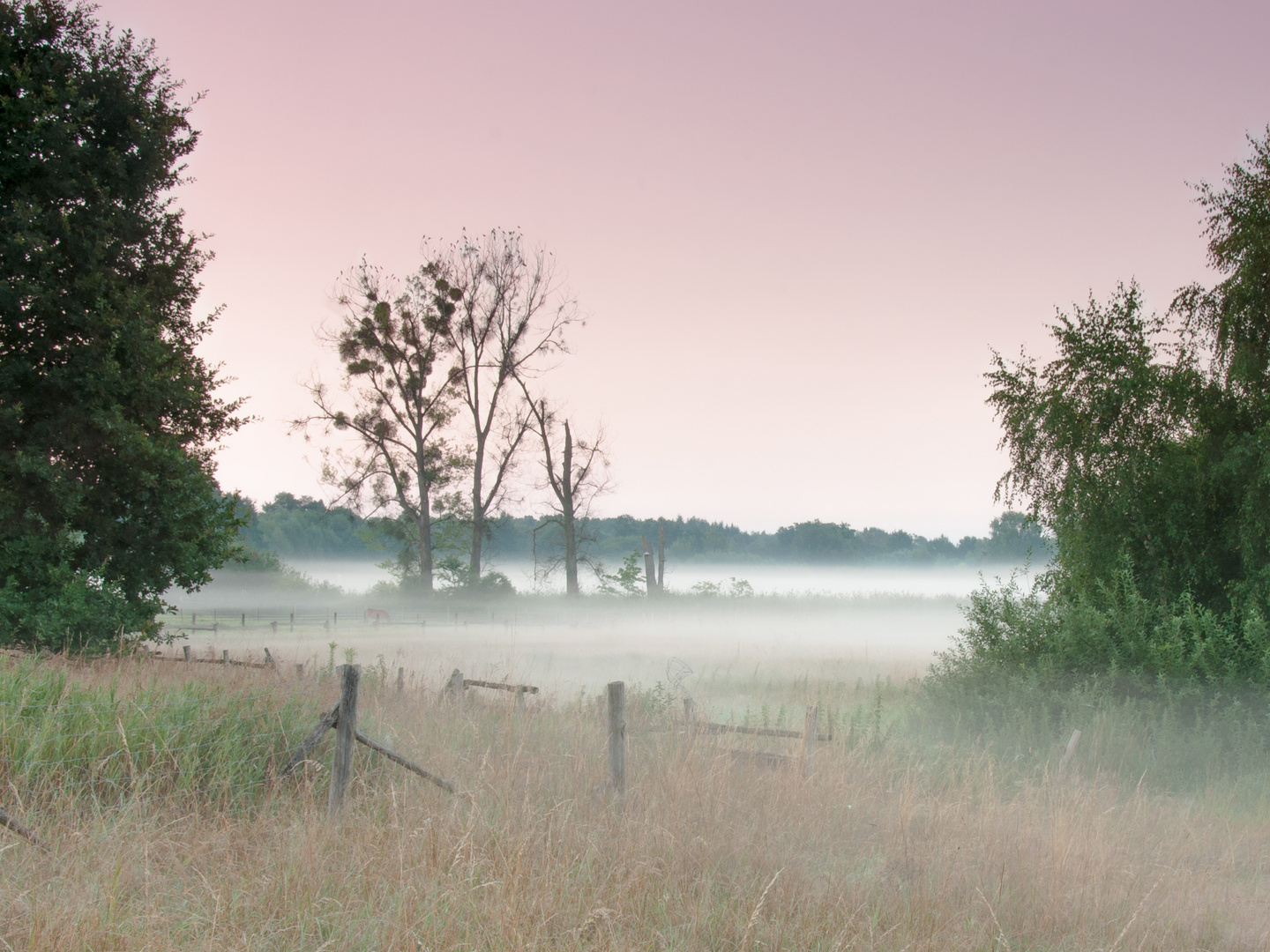 Dunstiger Morgen