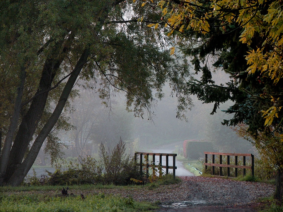 dunstiger Morgen im Gonsbachtal