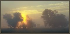 Dunstiger Spätsommermorgen im Oderbruch