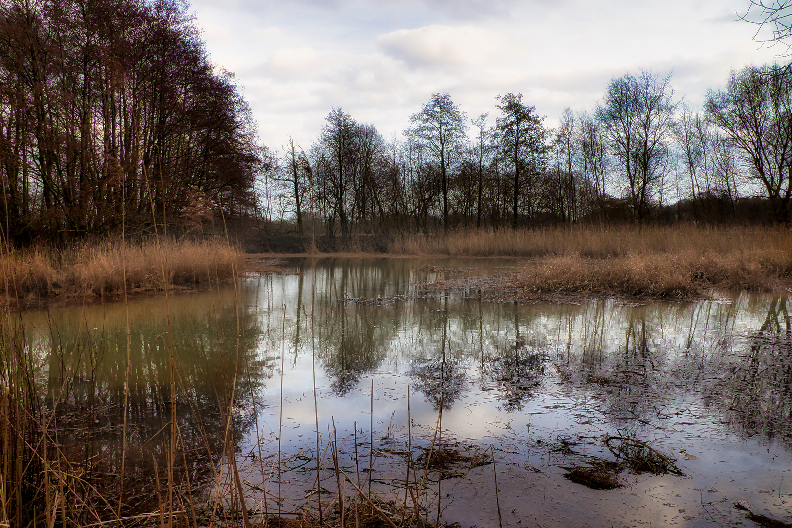 Dunstschleier am Morgen