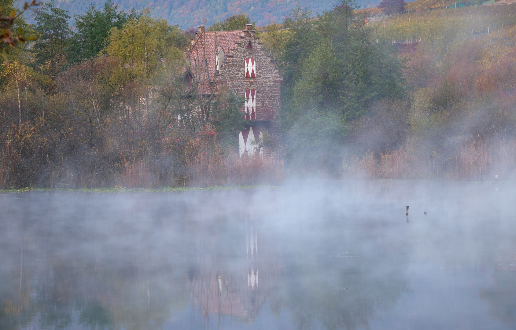 Dunststimmung am See