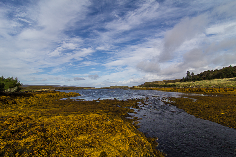 Dunvegan bay