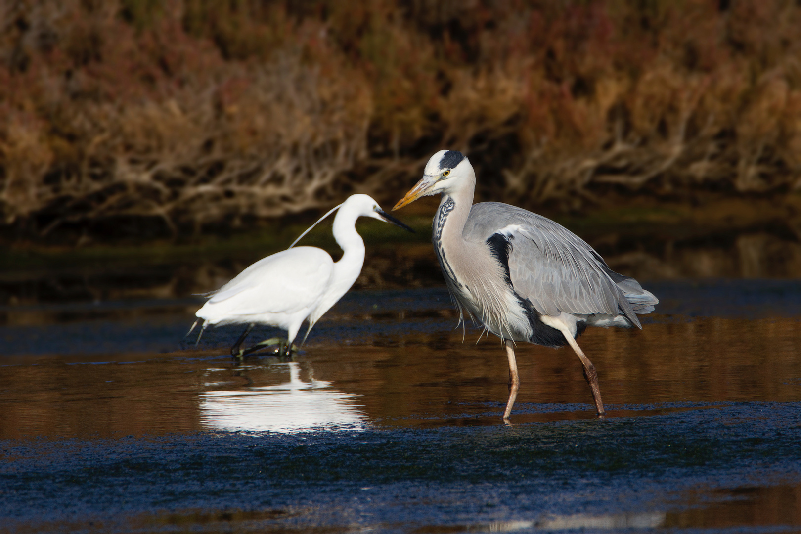 Duo à la pêche