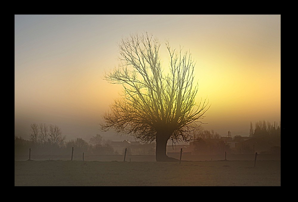 Duo avec le soleil