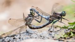 duo - beim abflug......