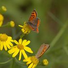 duo prenant les derniers rayons de soleil