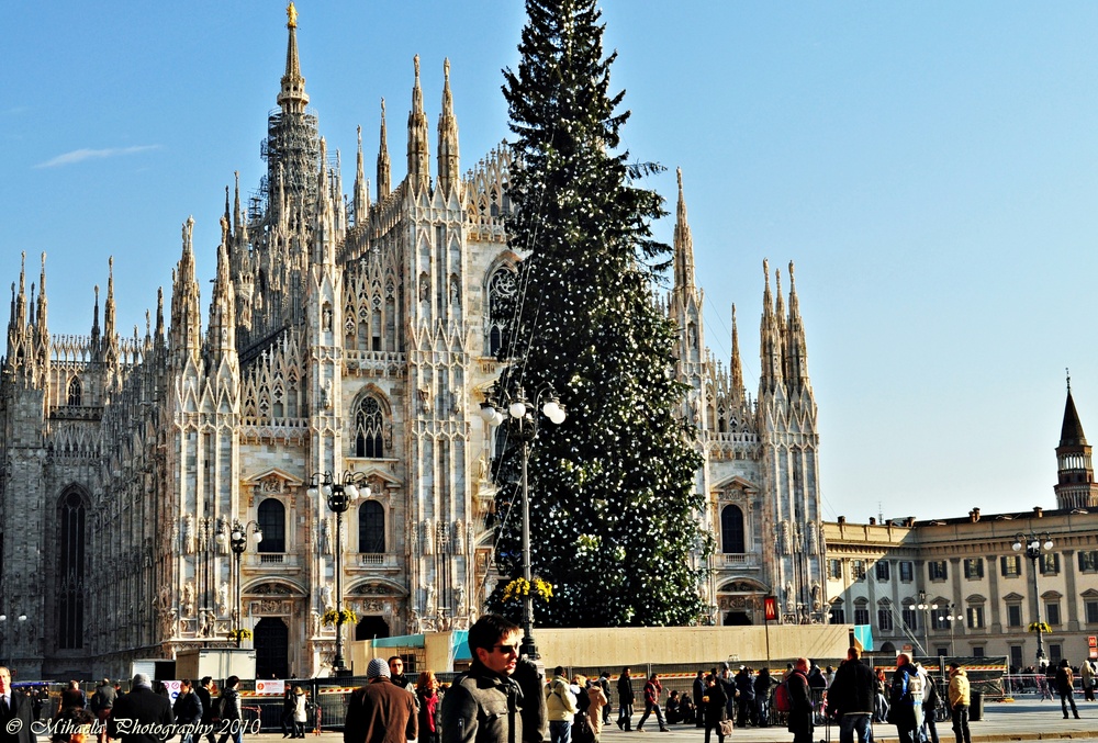 Duomo and Christmas Tree