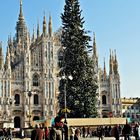 Duomo and Christmas Tree