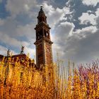 DUOMO DI LENDINARA (ROVIGO)