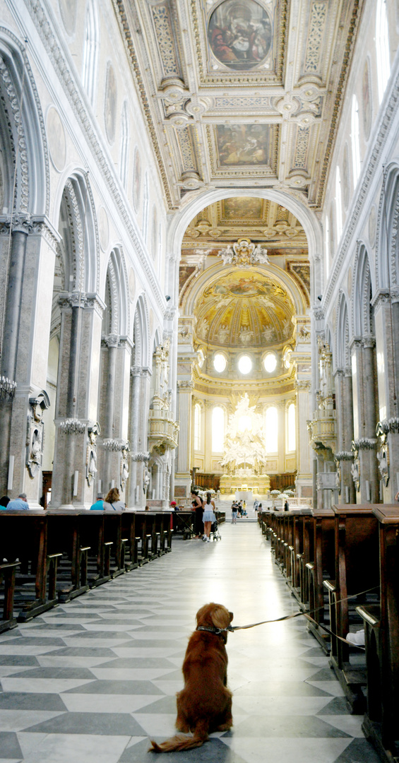 Duomo di Napoli und seine Besucher