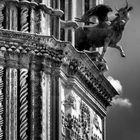 Duomo di Orvieto, particolare