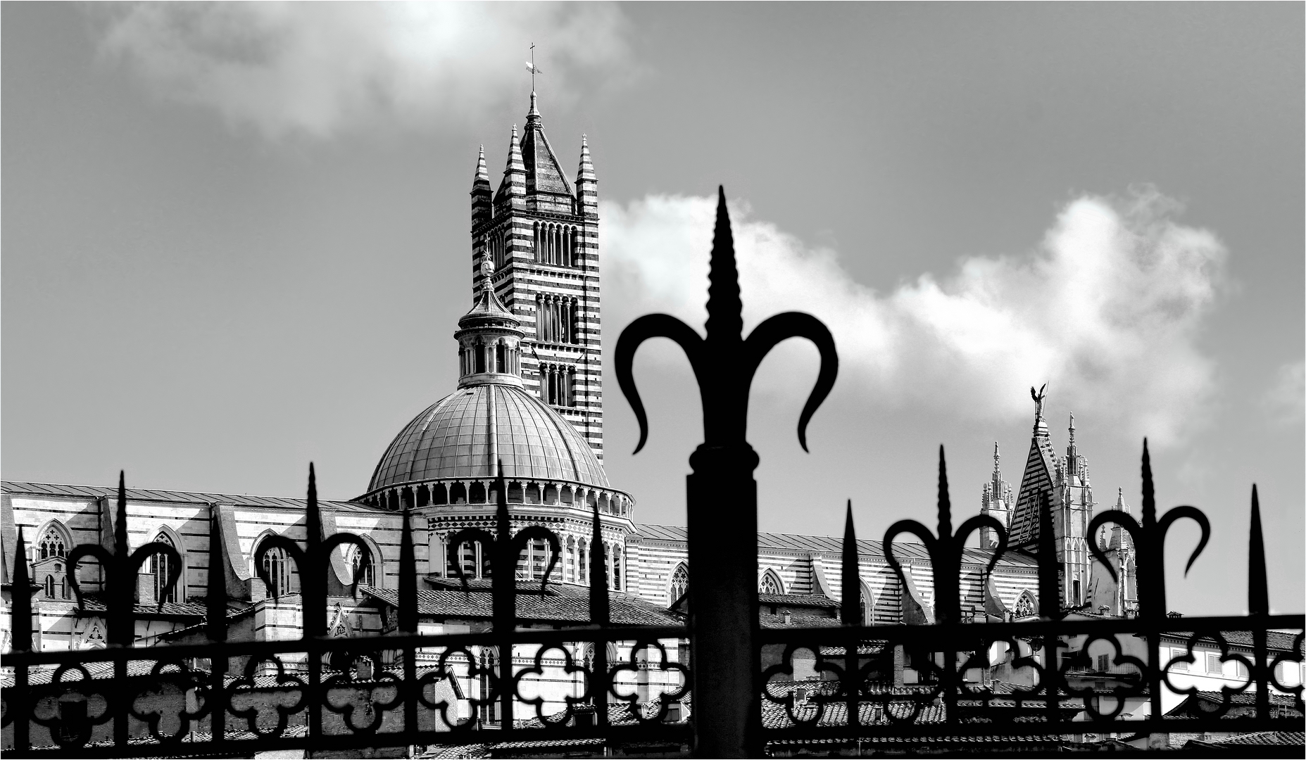 DUOMO DI SIENA