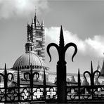 DUOMO DI SIENA