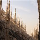 Duomo Milano III